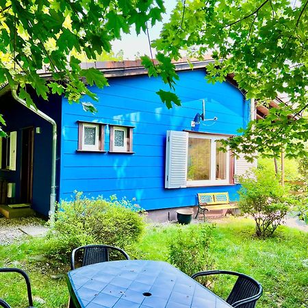 Platell Ferienhausverwaltung Sankt Andreasberg Εξωτερικό φωτογραφία