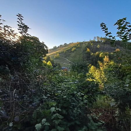 Platell Ferienhausverwaltung Sankt Andreasberg Εξωτερικό φωτογραφία